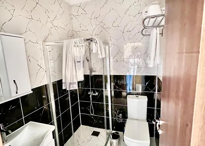 Grand Ararat 4* Provincia di Istanbul